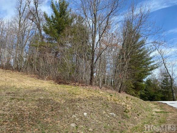 1-2 Rendezvous Ridge Road Cashiers, NC 28717 - Photo 5 of 5 Gallery Image 5