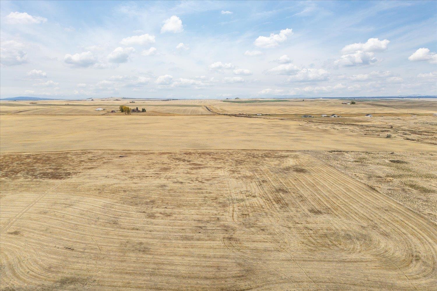 -xxx West Euclid Road, Unit LOT 3 Reardan, WA 99029 - Photo 19 of 23