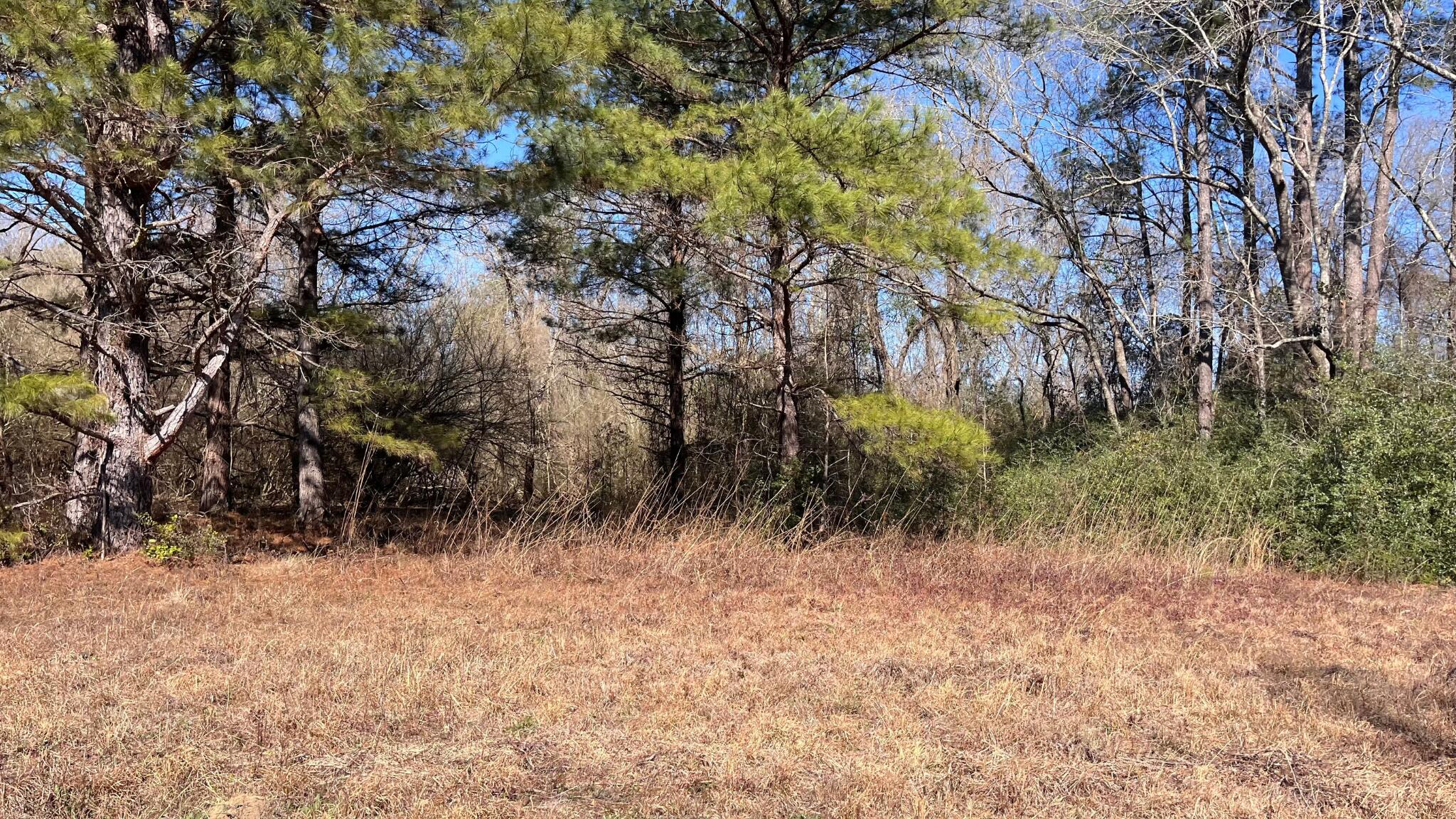 0 Veterans Road Salley, SC 29137 - Photo 10 of 23