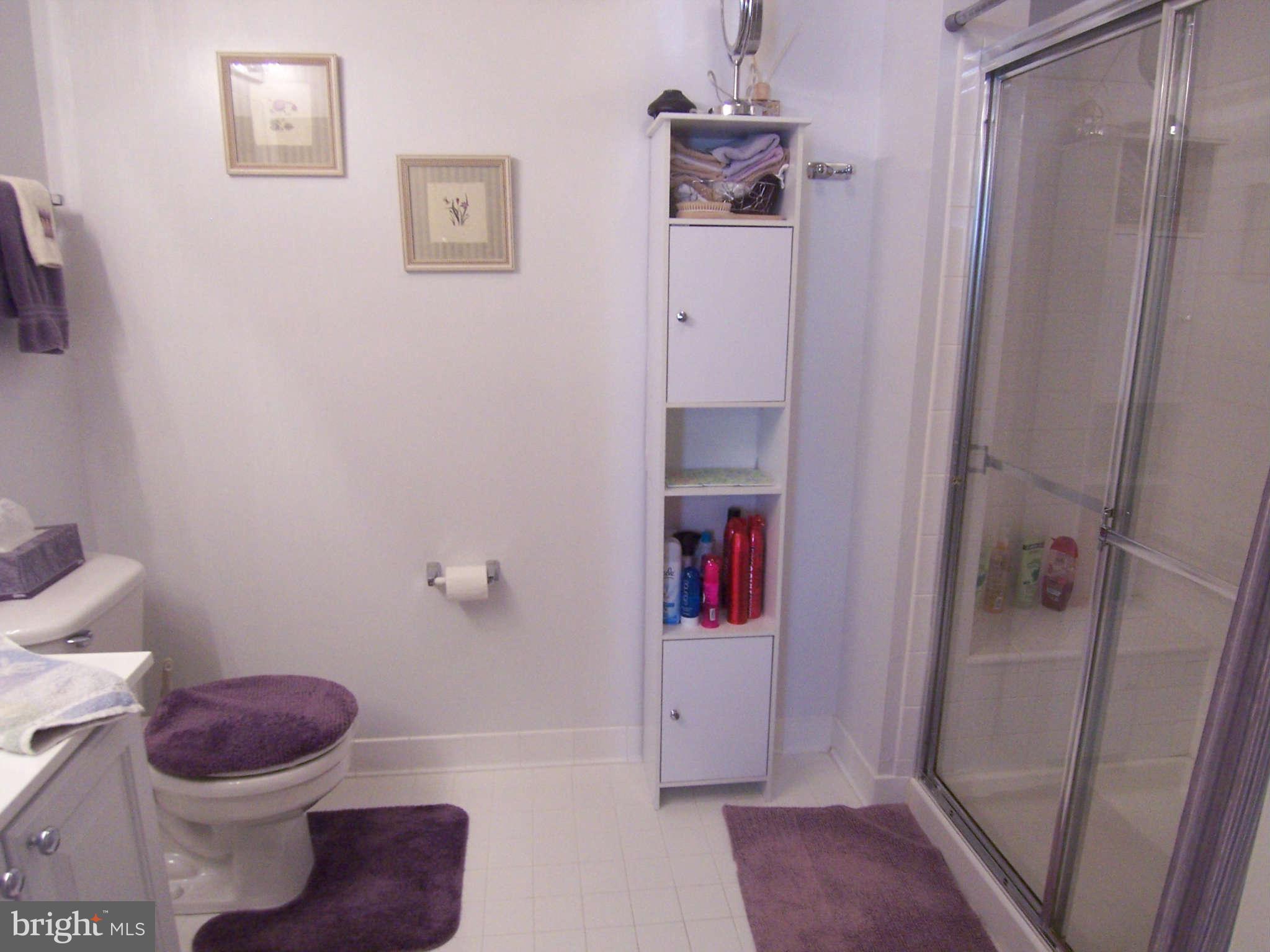 3012 Hunting Ridge Drive, Unit 3012 Owings Mills, MD 21117 - Photo 7 of 11 Master Bathroom