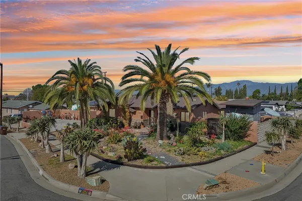 a view of a potted plant