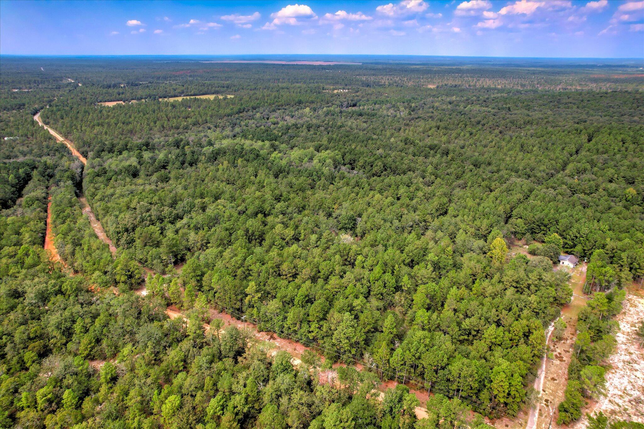 001 A Centerwood Road Williston, SC 29853 - Photo 3 of 19