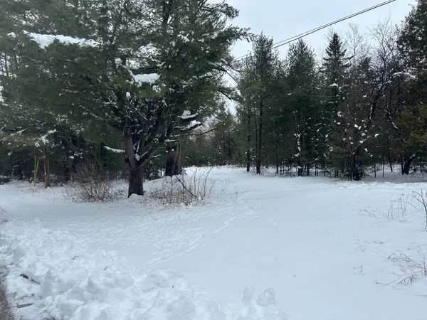 $29,900 | 606 East Brook Street, Suring, WI 54174