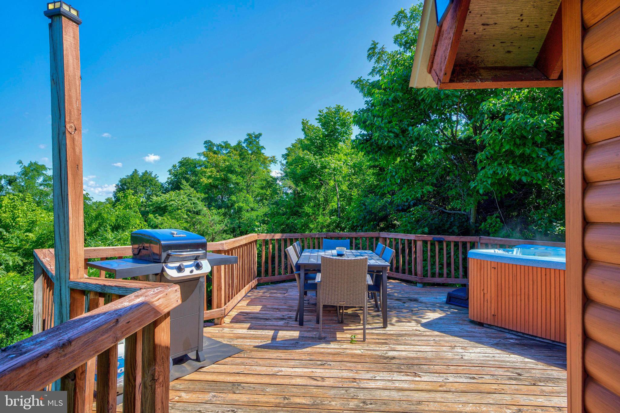 707 Overlook Drive Rileyville, VA 22650 - Photo 62 of 94