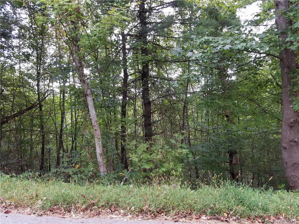 Lot 6 Pine Ridge Road Mars Hill, NC 28754 - Photo 1 of 1 Gallery Image 1