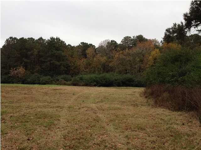 3989 River Road Johns Island, SC 29455 - Photo 1 of 3 Primary Photo
