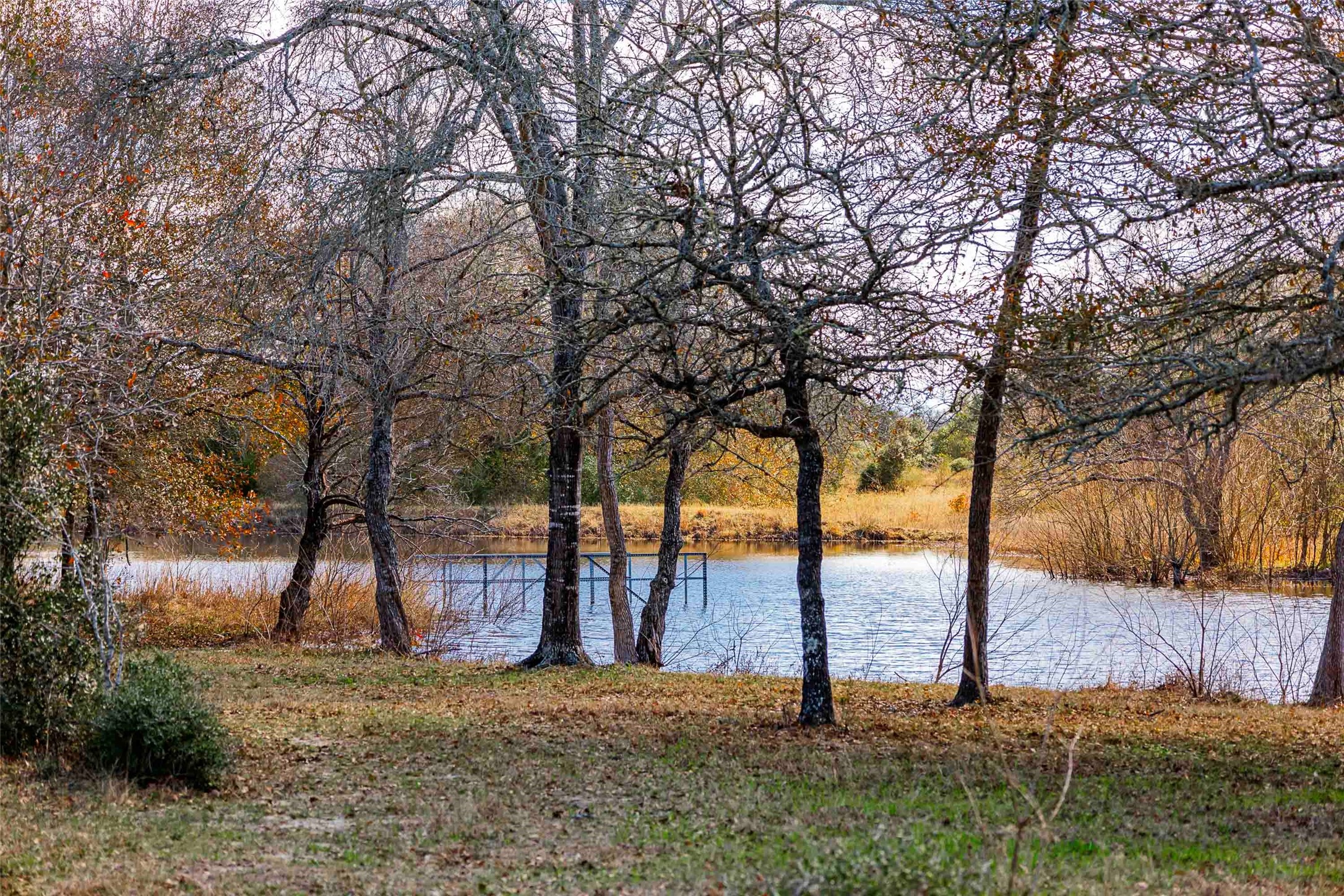 Tbd10 South Nassau Road Round Top, TX 78954 - Photo 1 of 1 Tract 10 and 11 pond