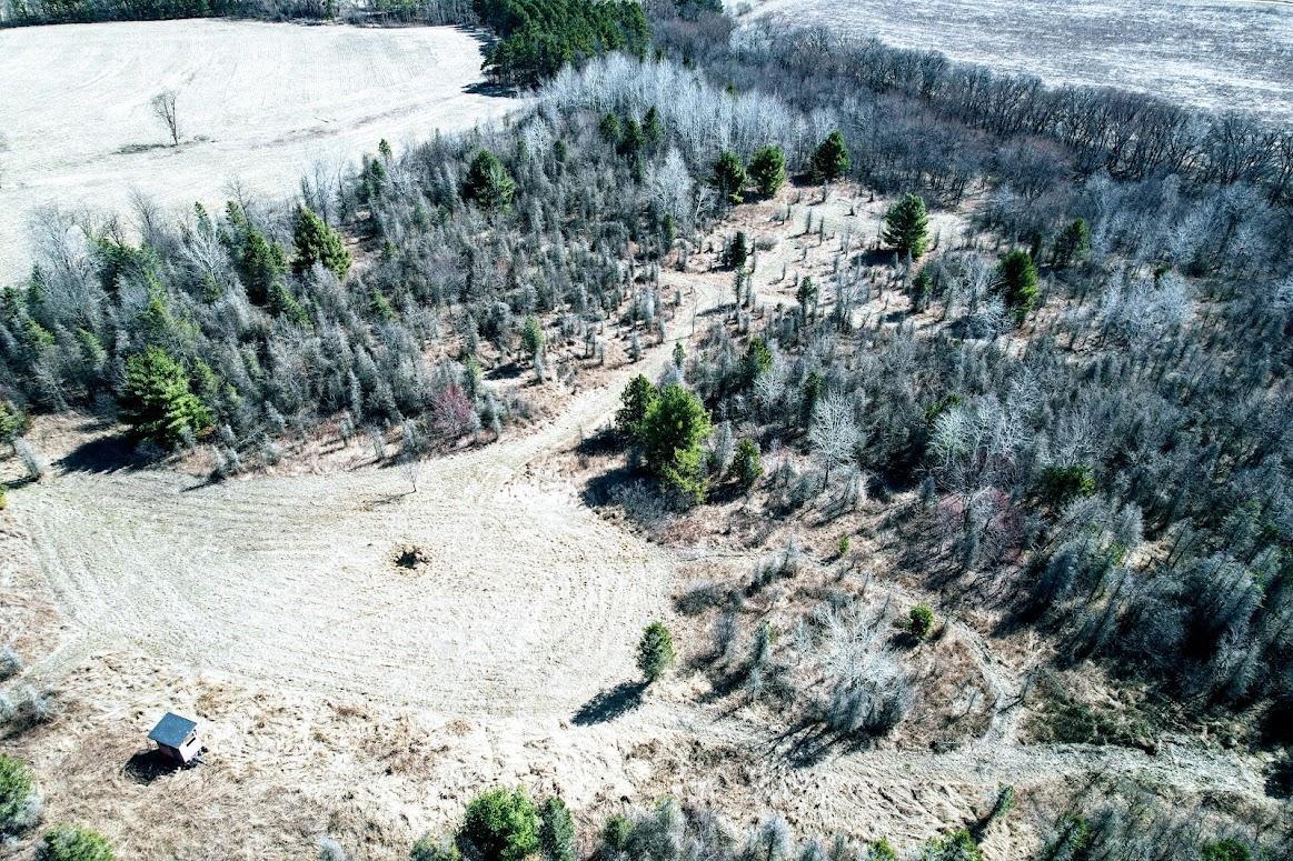 N48025 Co Hwy B Osseo, WI 54758 - Photo 11 of 54