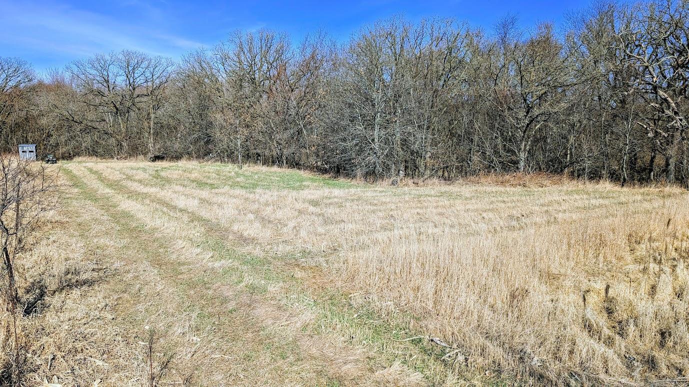 N48025 Co Hwy B Osseo, WI 54758 - Photo 14 of 54