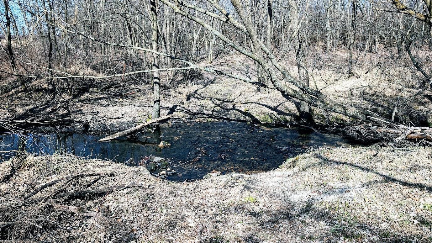 N48025 Co Hwy B Osseo, WI 54758 - Photo 15 of 54