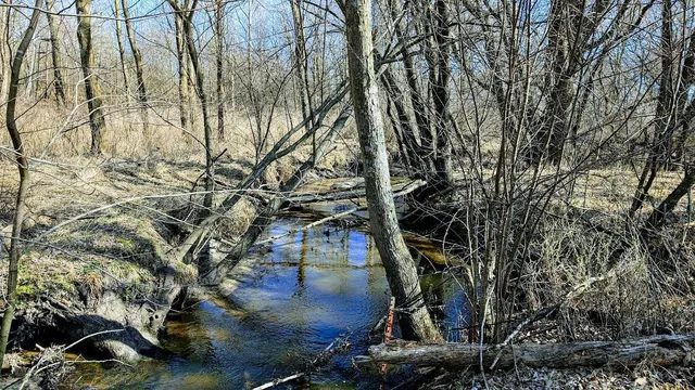 $528,000 | N48025 Co Hwy B, Osseo, WI 54758