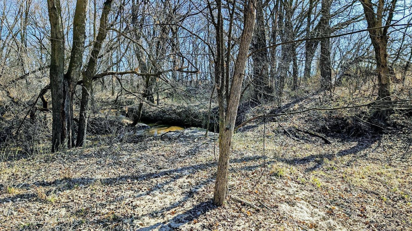 N48025 Co Hwy B Osseo, WI 54758 - Photo 17 of 54