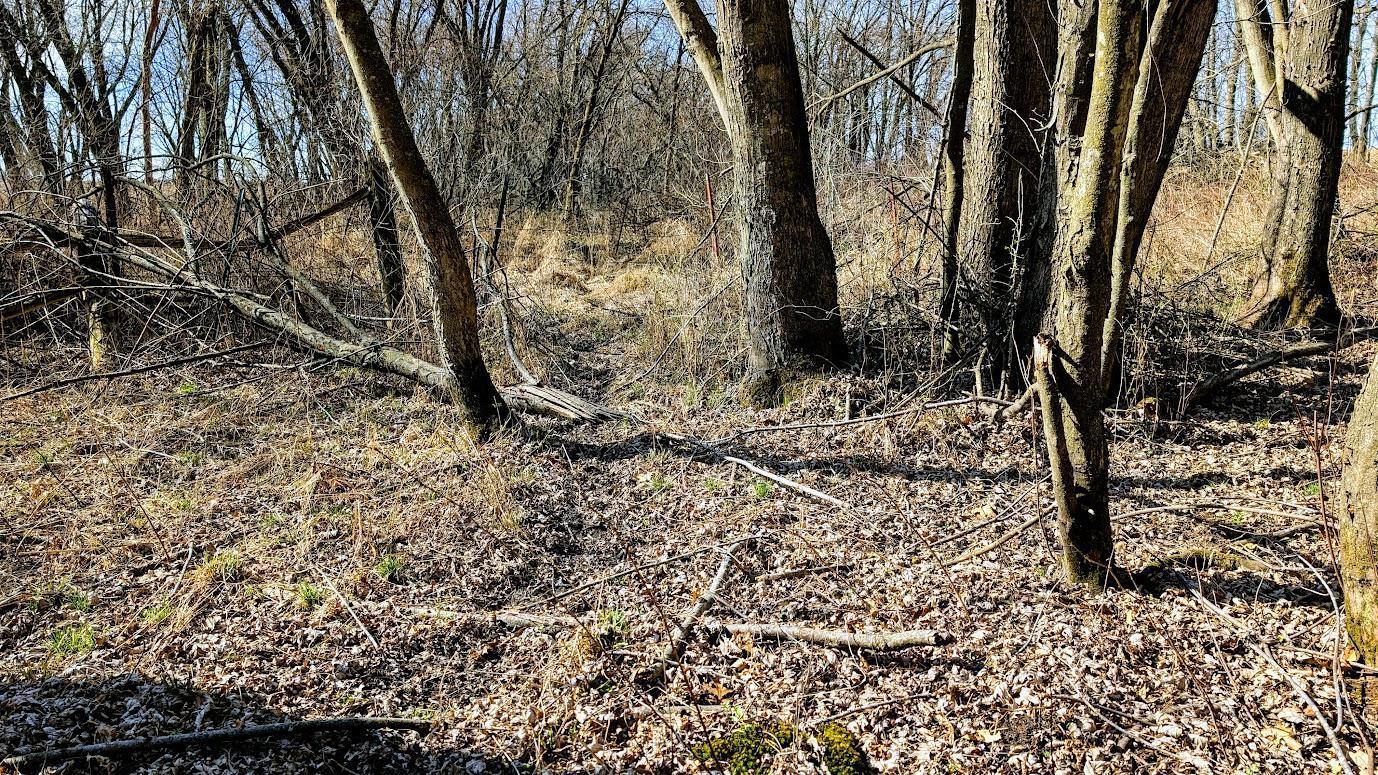 N48025 Co Hwy B Osseo, WI 54758 - Photo 18 of 54