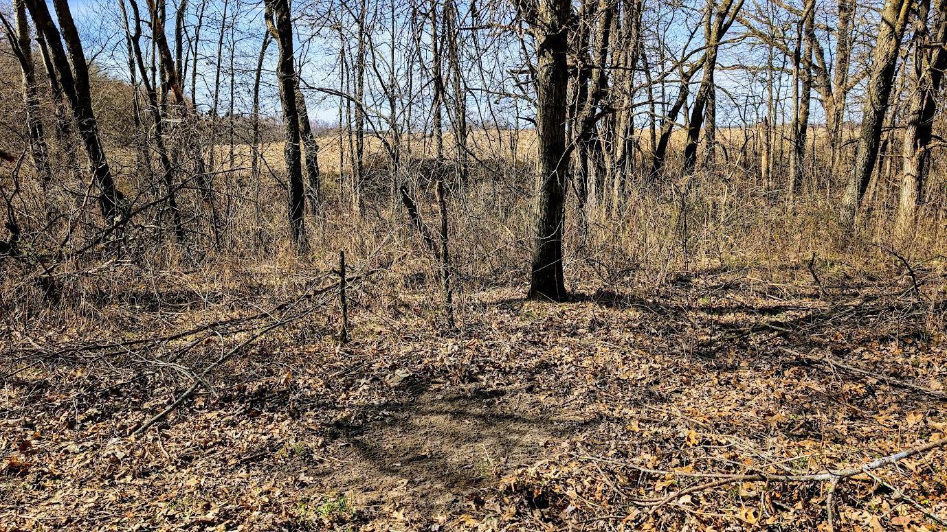 N48025 Co Hwy B Osseo, WI 54758 - Photo 20 of 54