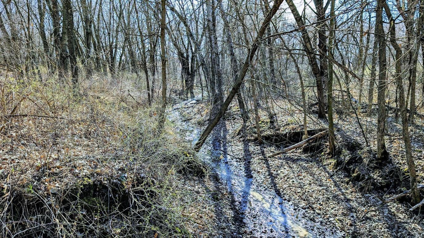 N48025 Co Hwy B Osseo, WI 54758 - Photo 21 of 54