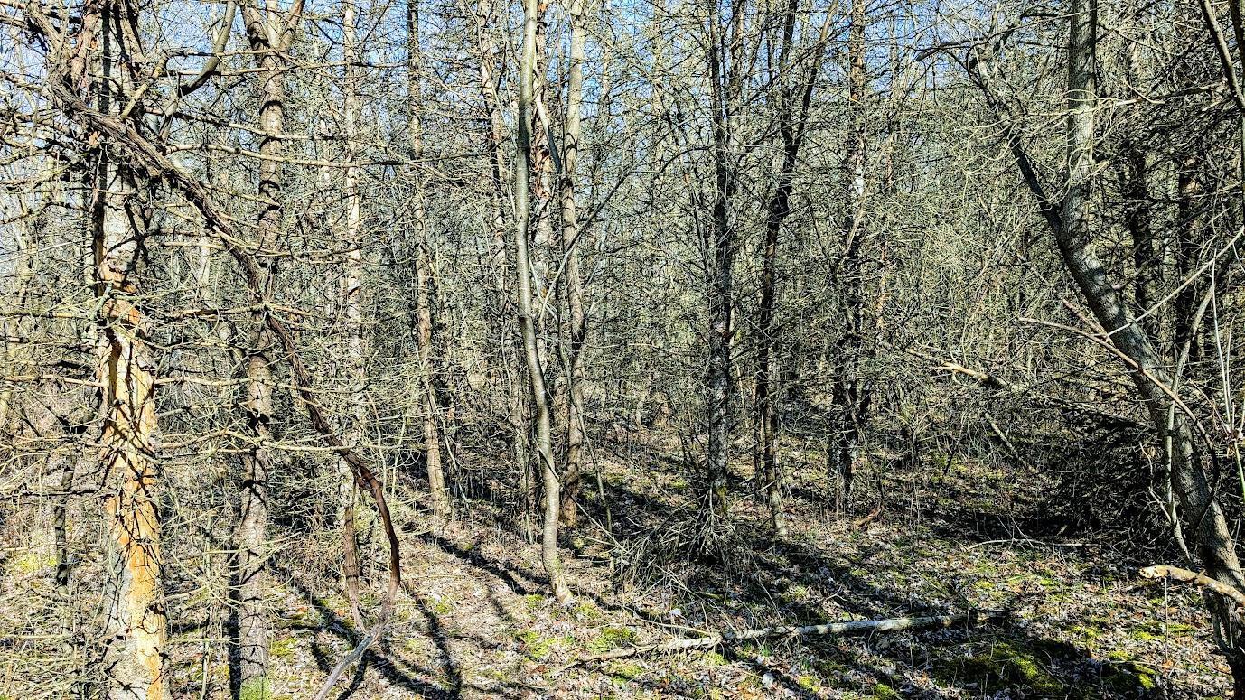 N48025 Co Hwy B Osseo, WI 54758 - Photo 23 of 54