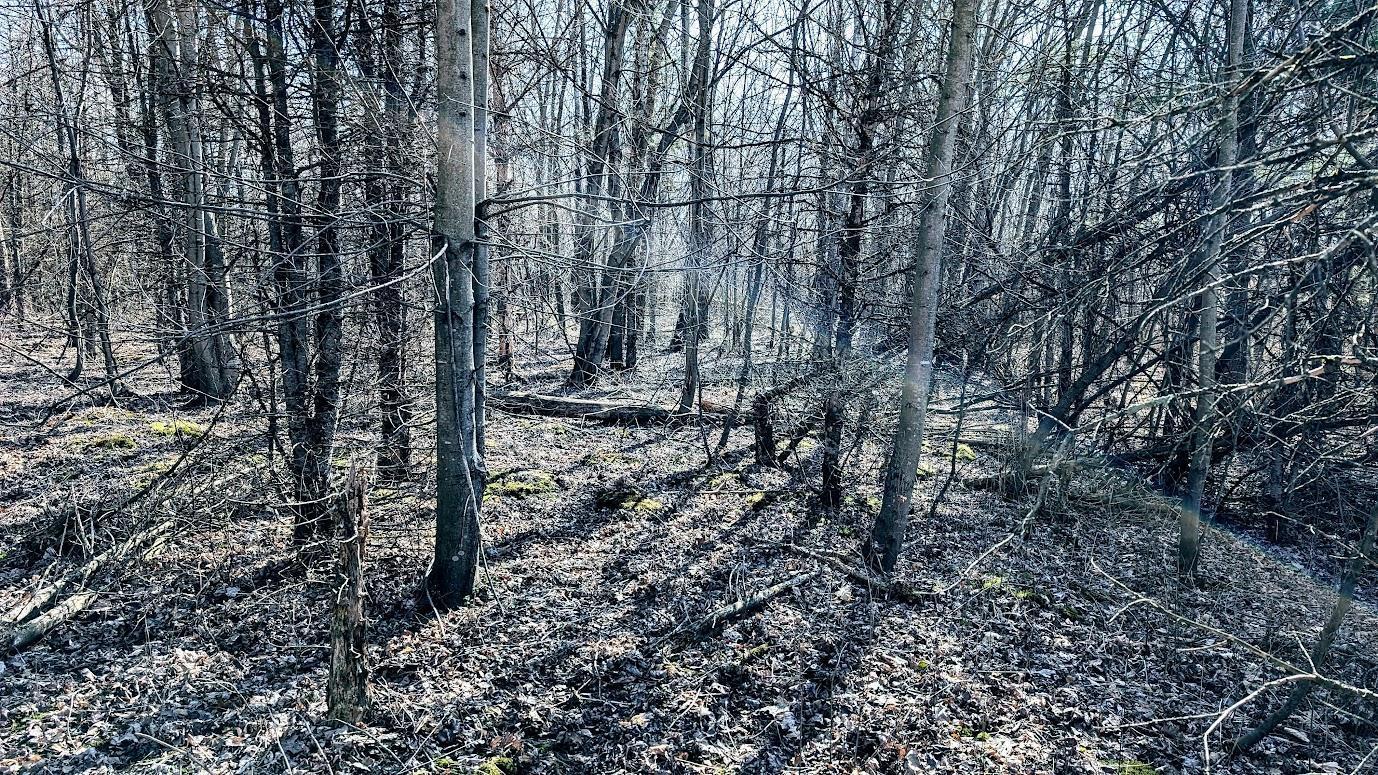 N48025 Co Hwy B Osseo, WI 54758 - Photo 24 of 54