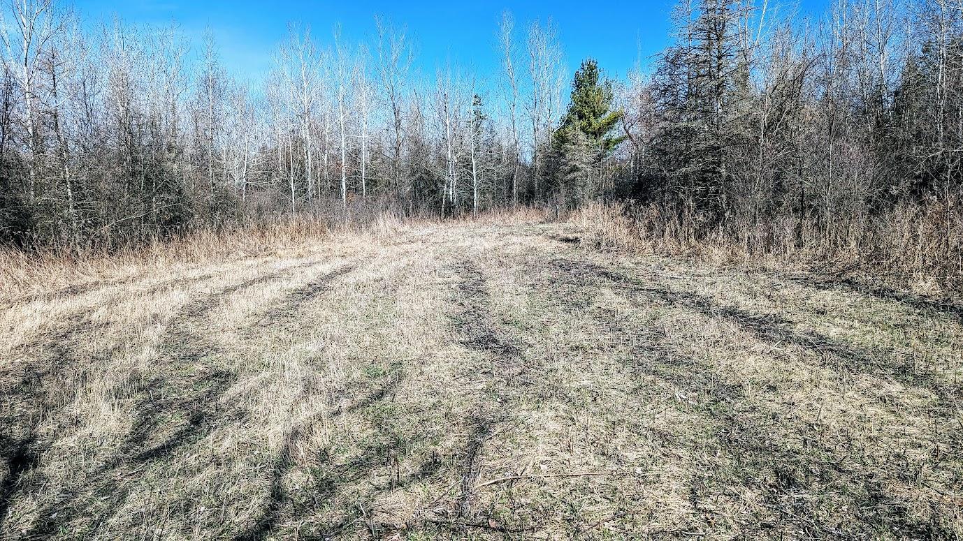 N48025 Co Hwy B Osseo, WI 54758 - Photo 25 of 54