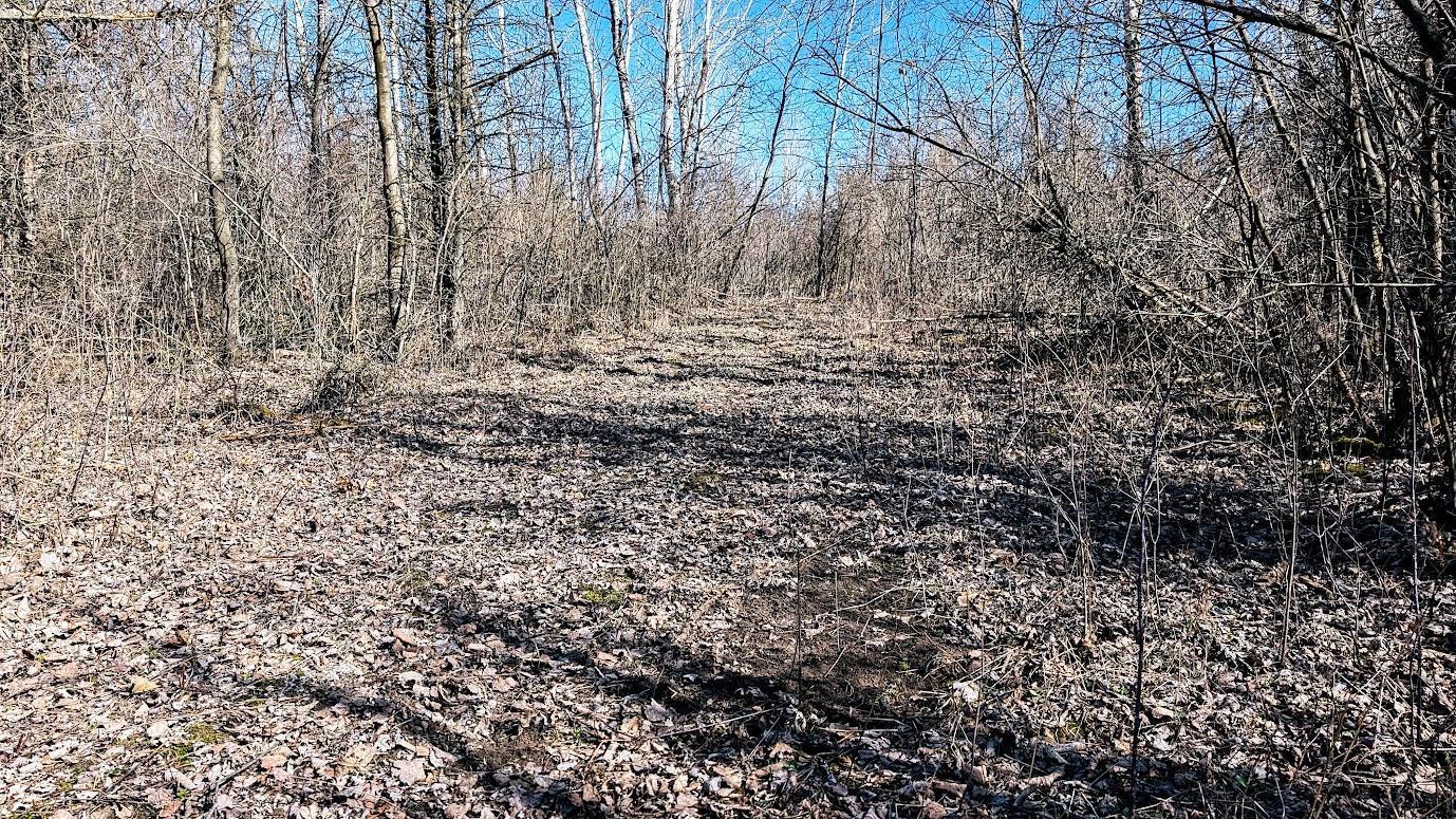 N48025 Co Hwy B Osseo, WI 54758 - Photo 26 of 54