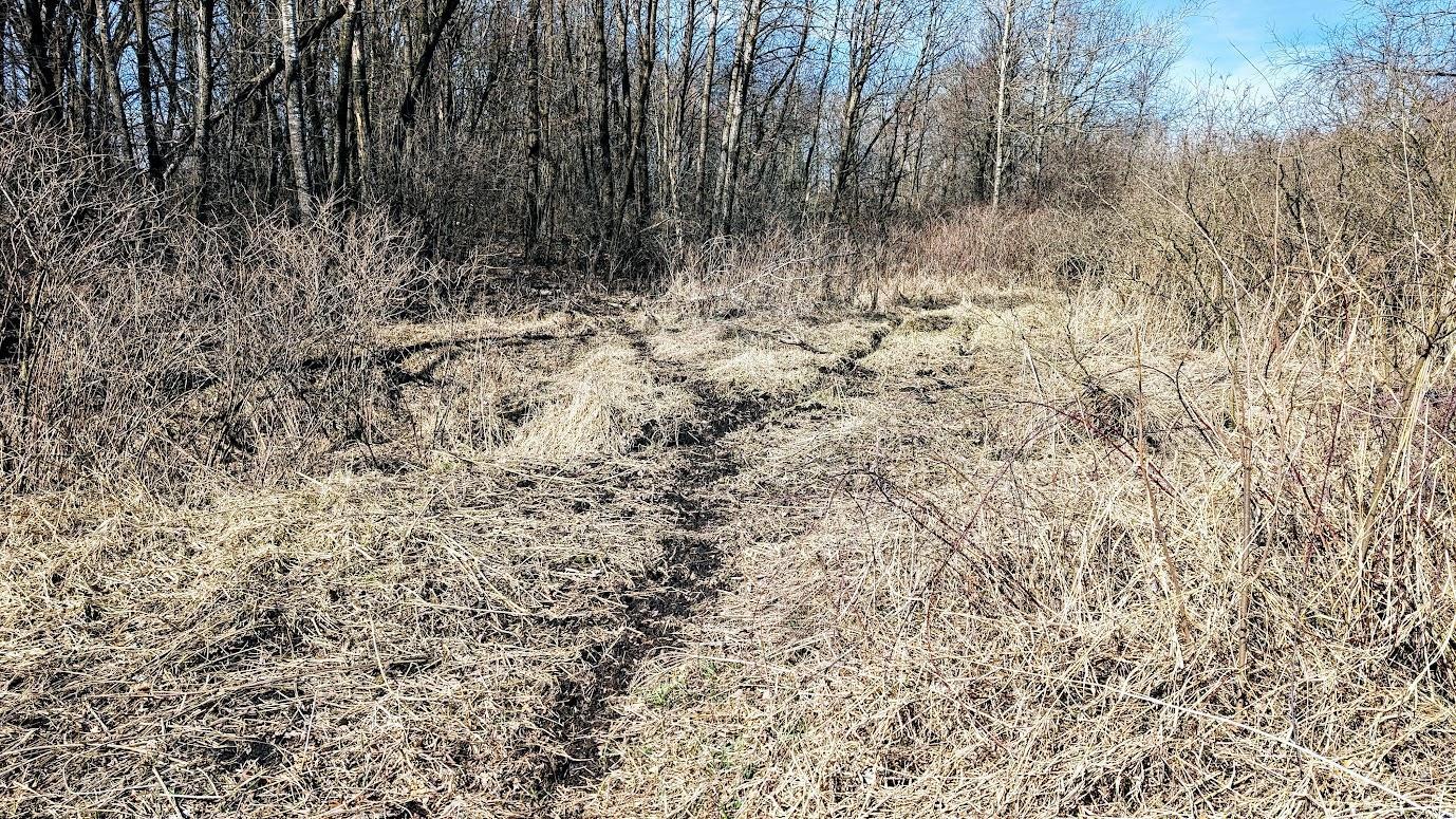 N48025 Co Hwy B Osseo, WI 54758 - Photo 27 of 54