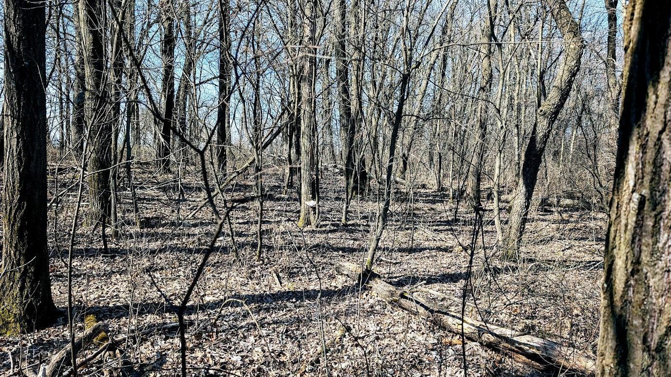 N48025 Co Hwy B Osseo, WI 54758 - Photo 28 of 54