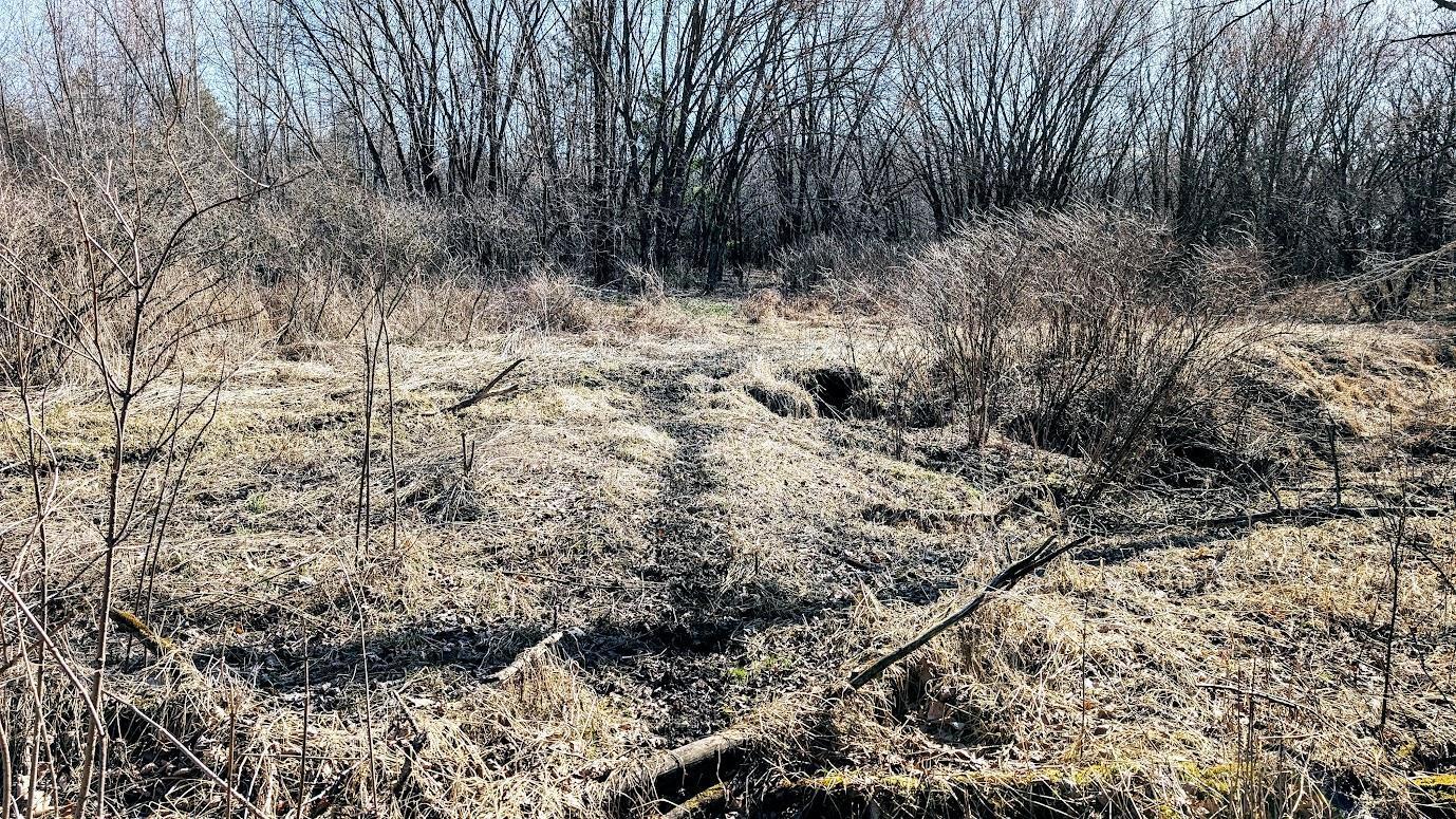 N48025 Co Hwy B Osseo, WI 54758 - Photo 29 of 54