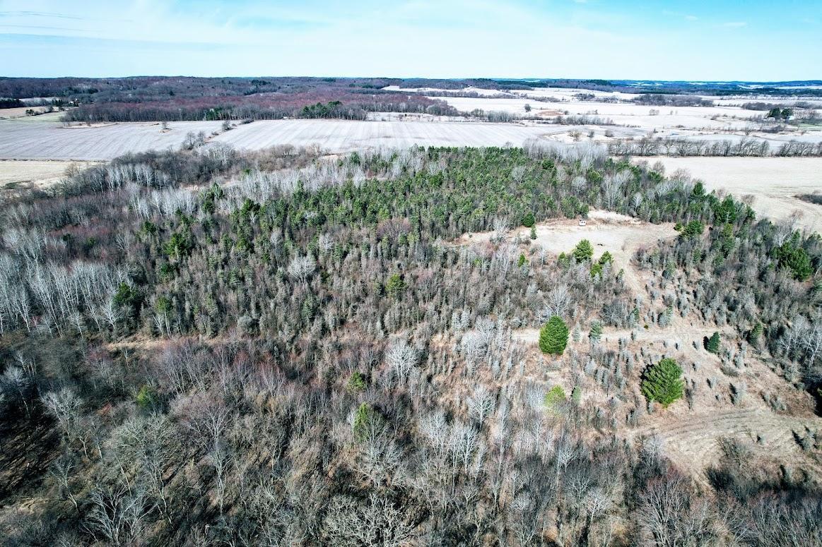 N48025 Co Hwy B Osseo, WI 54758 - Photo 3 of 54