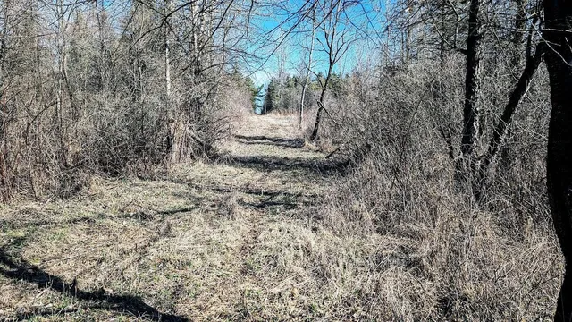 $528,000 | N48025 Co Hwy B, Osseo, WI 54758