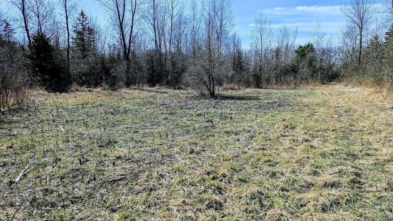 N48025 Co Hwy B Osseo, WI 54758 - Photo 33 of 54