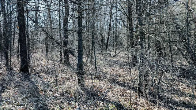 $528,000 | N48025 Co Hwy B, Osseo, WI 54758