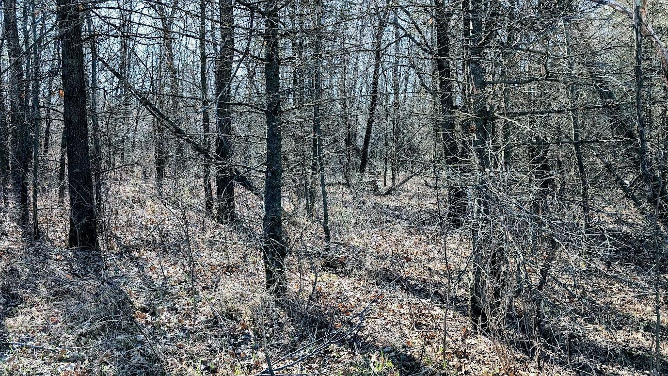 N48025 Co Hwy B Osseo, WI 54758 - Photo 34 of 54