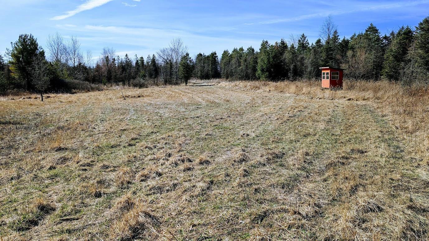 N48025 Co Hwy B Osseo, WI 54758 - Photo 35 of 54