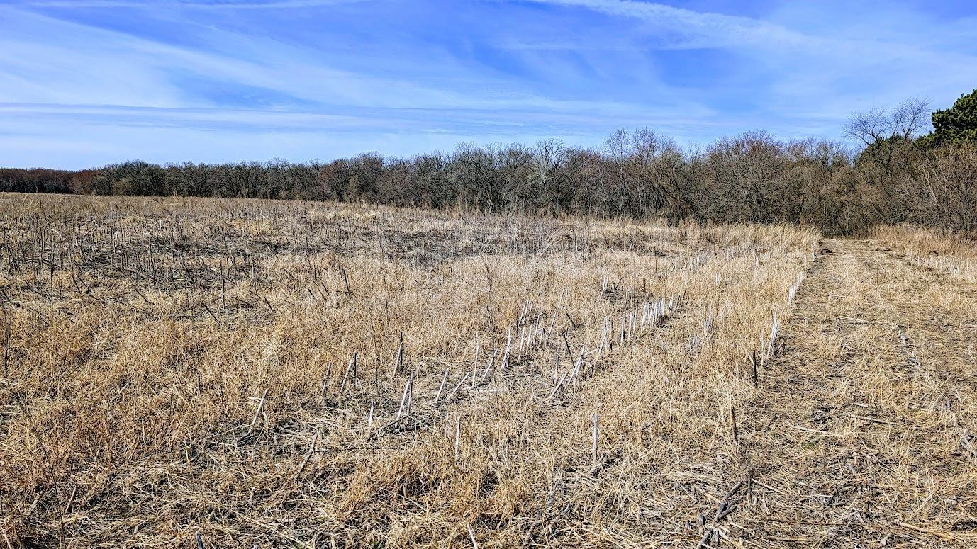 N48025 Co Hwy B Osseo, WI 54758 - Photo 39 of 54