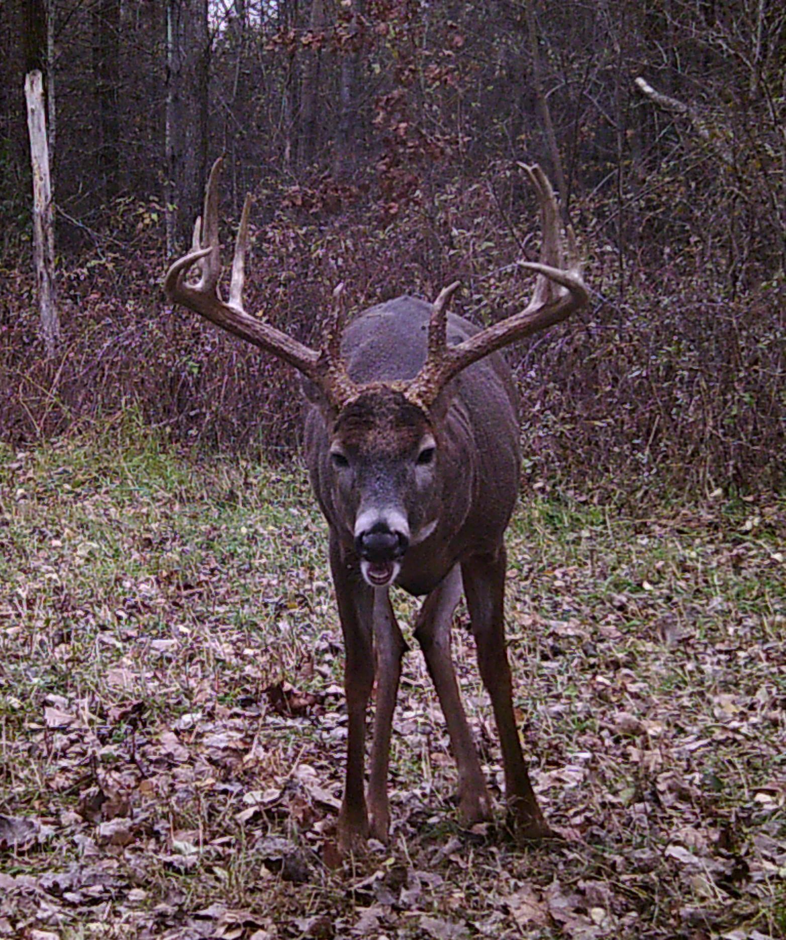 N48025 Co Hwy B Osseo, WI 54758 - Photo 40 of 54