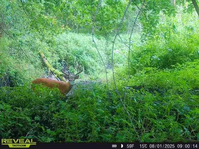 $528,000 | N48025 Co Hwy B, Osseo, WI 54758