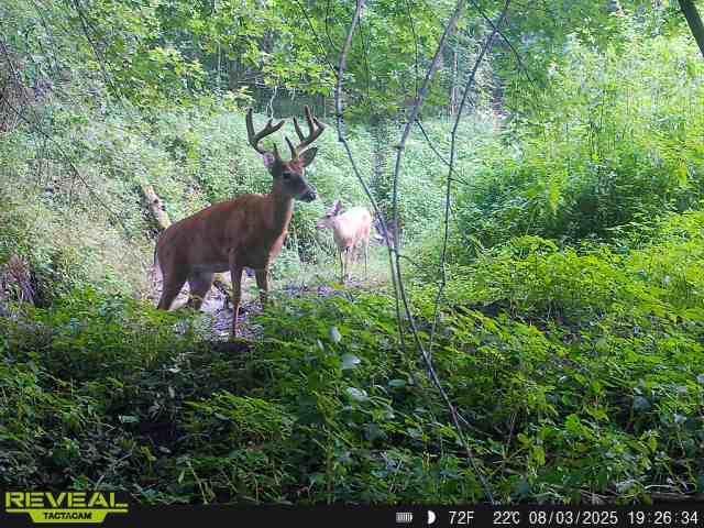 N48025 Co Hwy B Osseo, WI 54758 - Photo 42 of 54