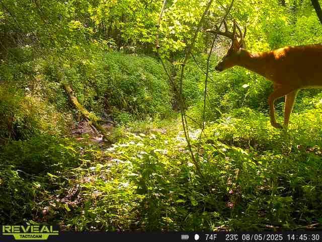 N48025 Co Hwy B Osseo, WI 54758 - Photo 43 of 54