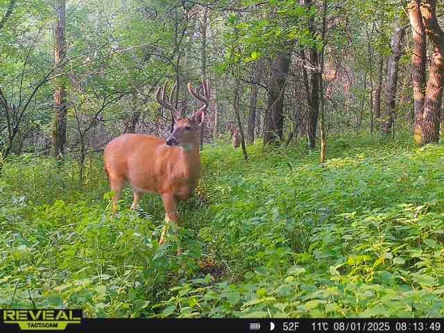 N48025 Co Hwy B Osseo, WI 54758 - Photo 47 of 54