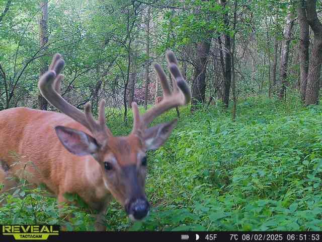 N48025 Co Hwy B Osseo, WI 54758 - Photo 48 of 54