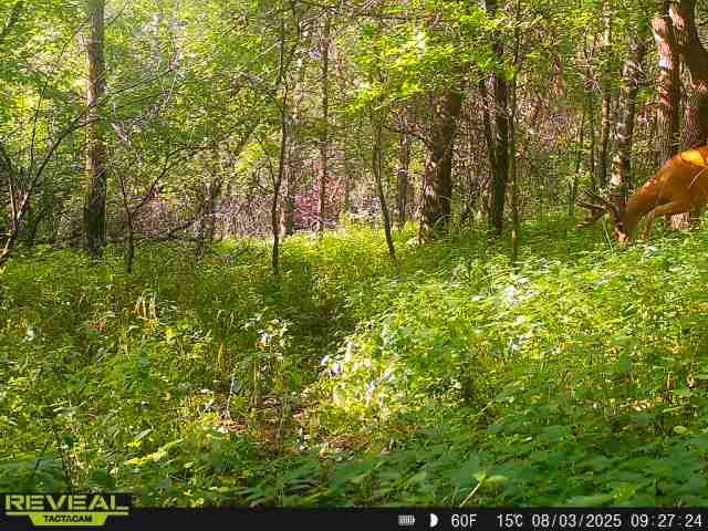 N48025 Co Hwy B Osseo, WI 54758 - Photo 49 of 54