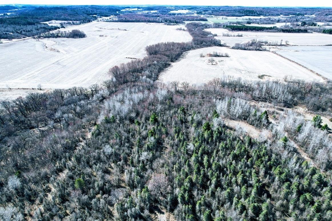 N48025 Co Hwy B Osseo, WI 54758 - Photo 5 of 54