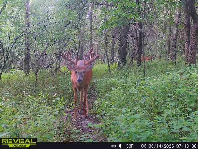N48025 Co Hwy B Osseo, WI 54758 - Photo 51 of 54