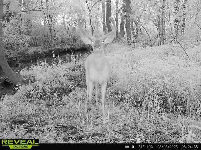 N48025 Co Hwy B Osseo, WI 54758 - Photo 53 of 54