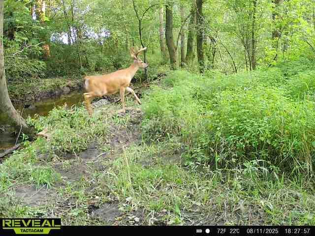 N48025 Co Hwy B Osseo, WI 54758 - Photo 54 of 54