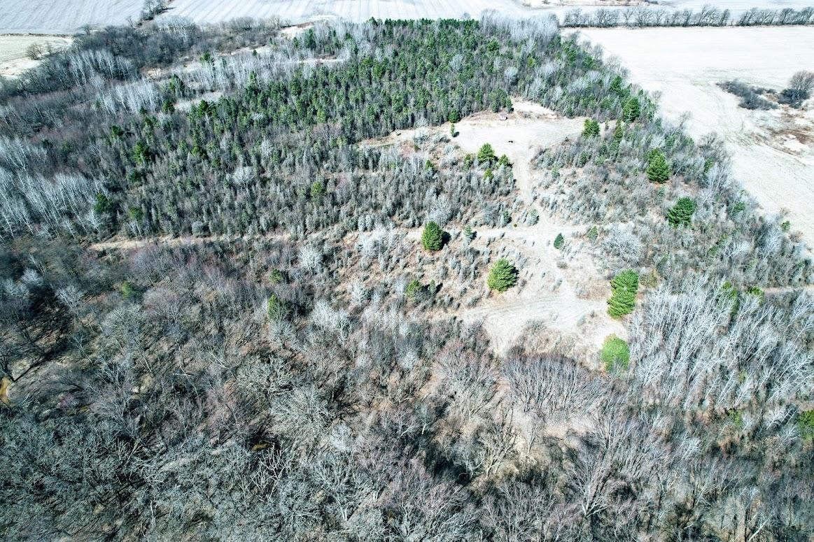 N48025 Co Hwy B Osseo, WI 54758 - Photo 8 of 54