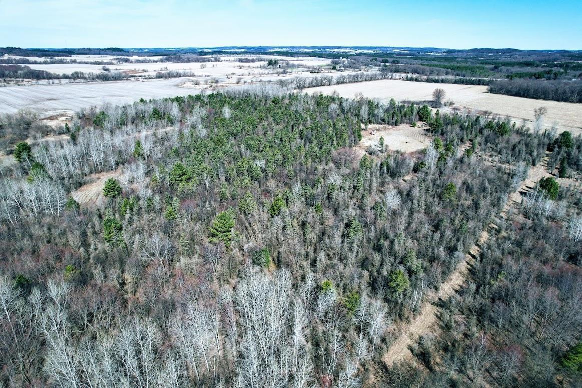 N48025 Co Hwy B Osseo, WI 54758 - Photo 9 of 54