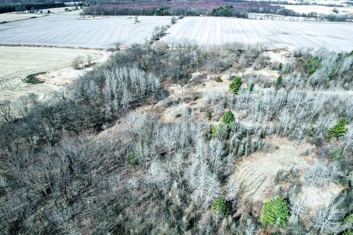 N48025 Co Hwy B Osseo, WI 54758 - Photo 10 of 54