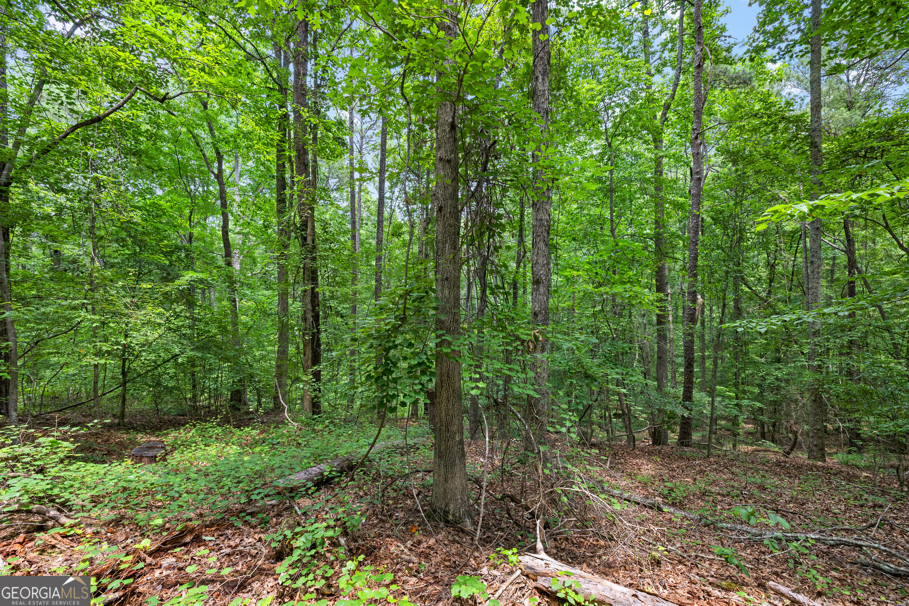 0 Terry Road Fairburn, GA 30213 - Photo 8 of 22