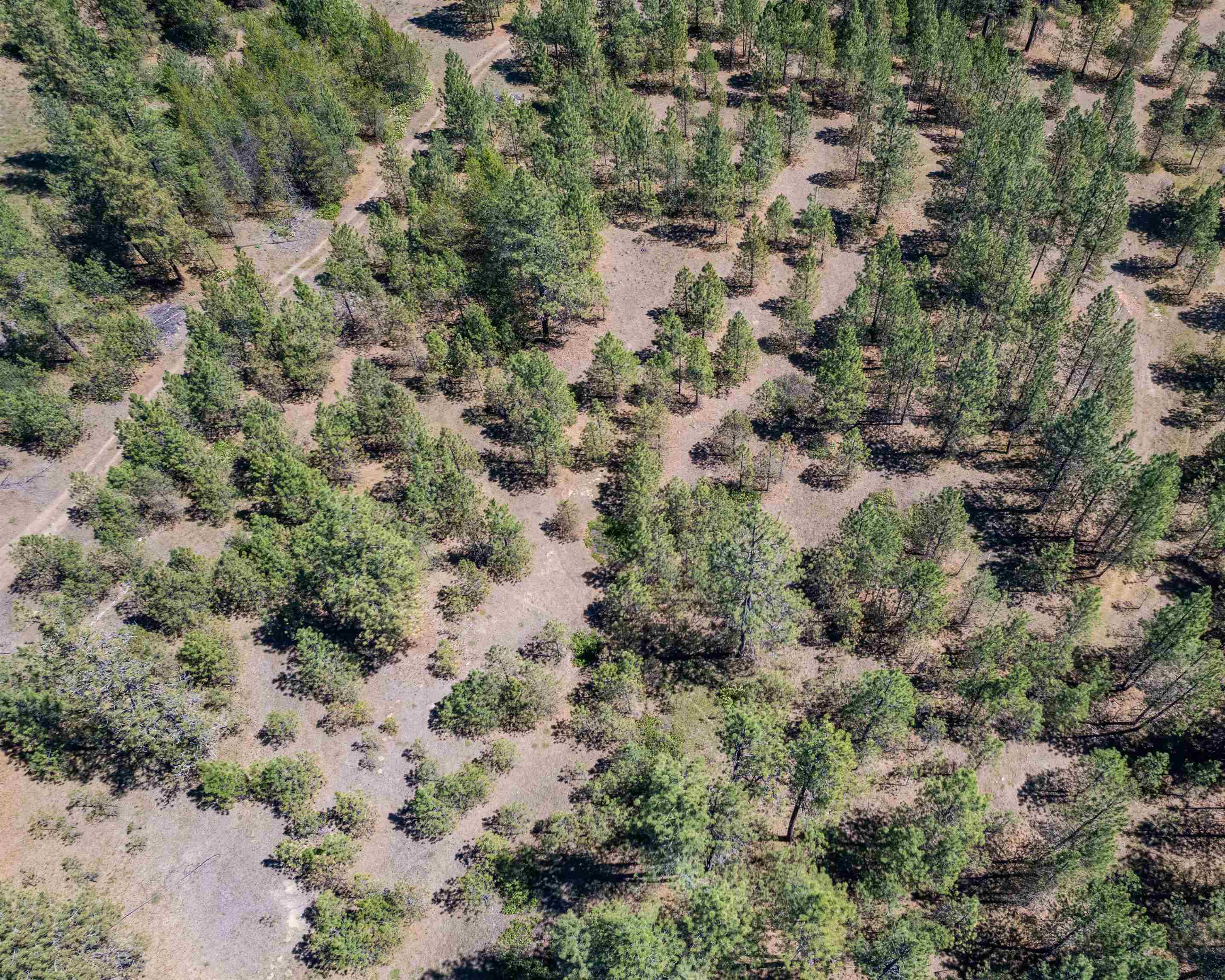 29-xxx North Hardesty Road Chattaroy, WA 99003 - Photo 13 of 40
