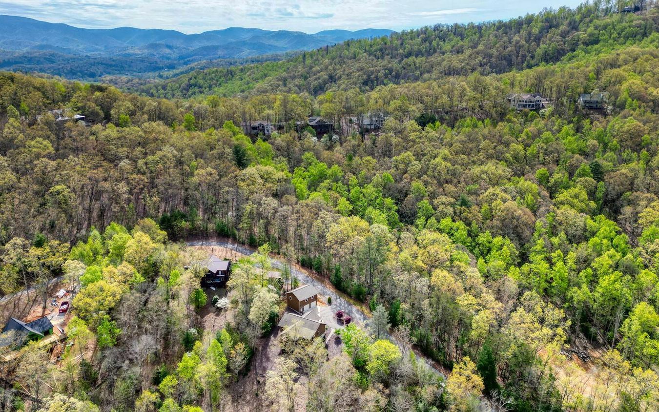 311 Red Twig Road Blairsville, GA 30512 - Photo 64 of 65 Additional View